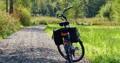 RDOŚ wzmacnia ochronę rezerwatu Segiet, w związku nielegalnymi przejazdami rowerzystów
